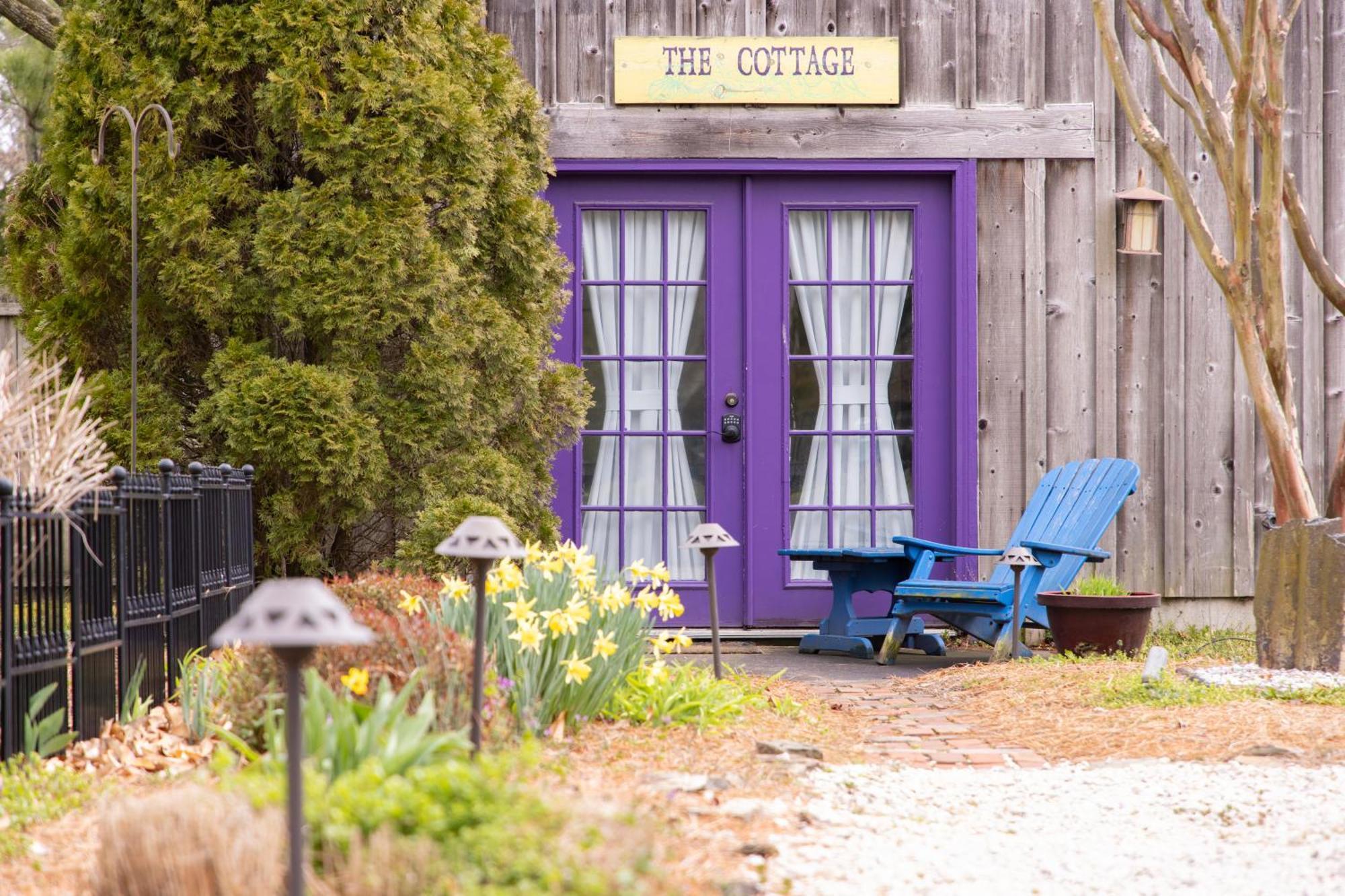 The Homestead B&B Rehoboth Beach Εξωτερικό φωτογραφία