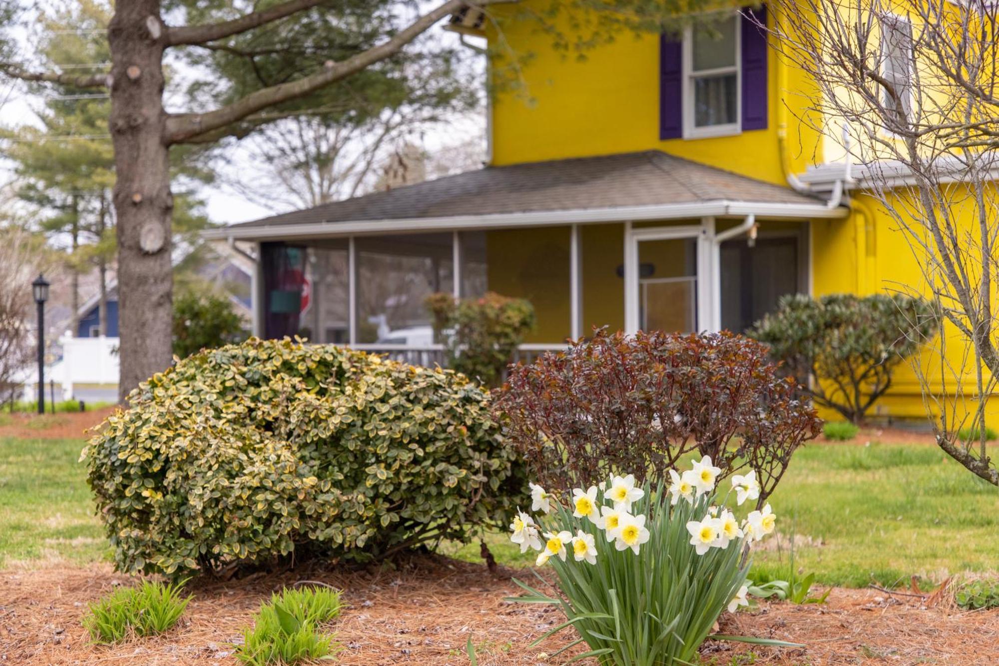 The Homestead B&B Rehoboth Beach Εξωτερικό φωτογραφία